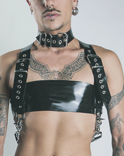 Hird harness